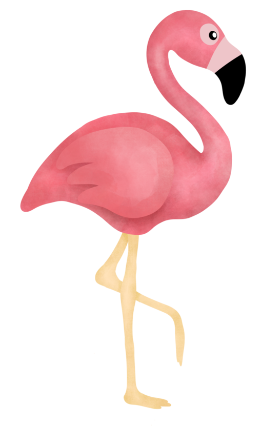 Airstream flamingo 2